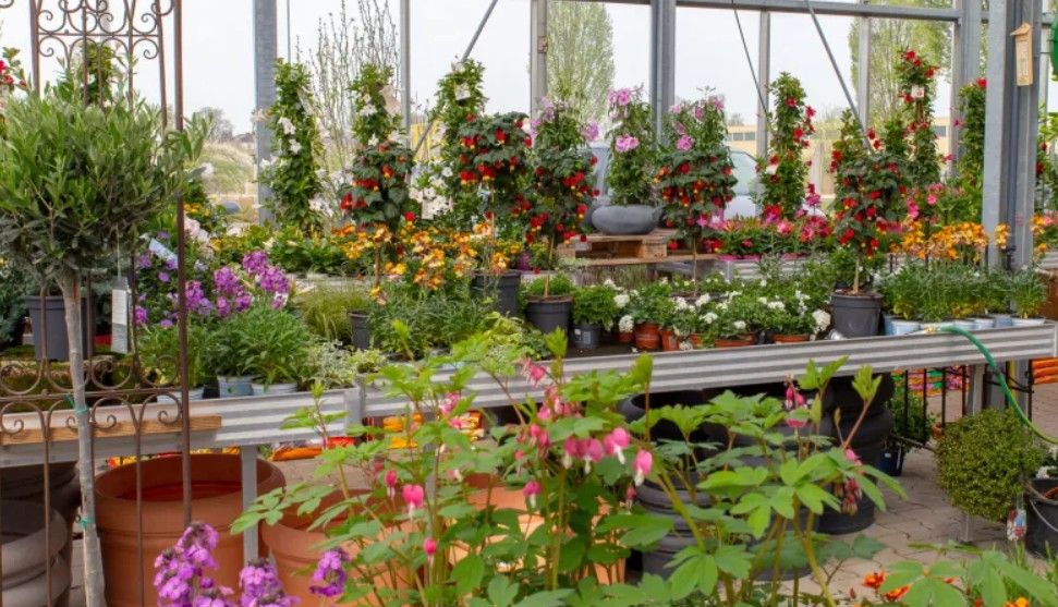 Beispielarbeit von Gärtnerei Strohmair u. Hirsch GmbH u. Co. KG - veröffentlicht auf Gartenbau.org