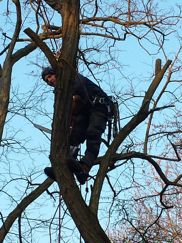 Beispielarbeit von Schnieber & Mehlitz - veröffentlicht auf Gartenbau.org