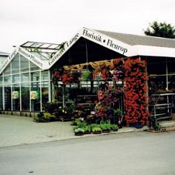 Beispielarbeit von Gärtnerei Lange - veröffentlicht auf Gartenbau.org